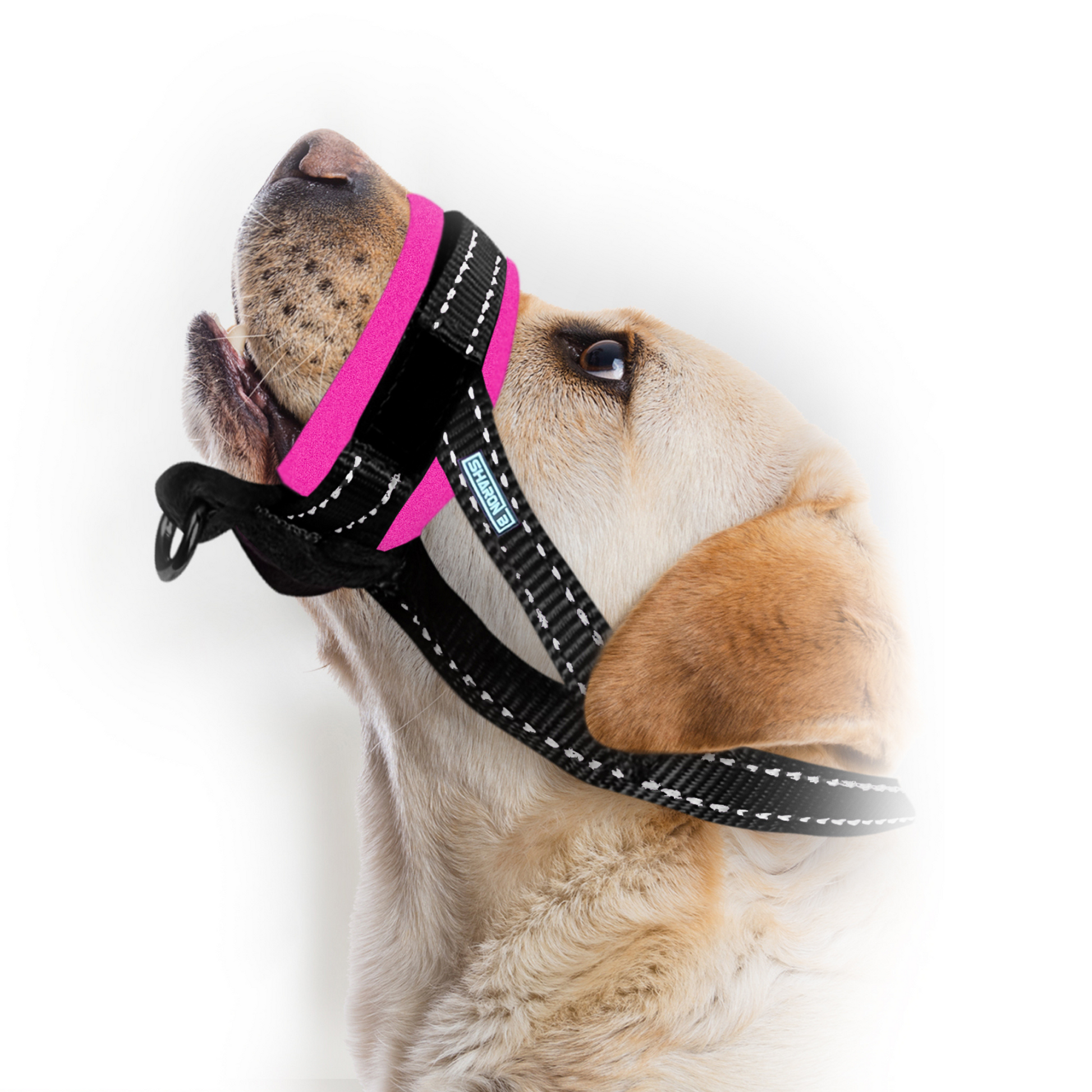 Billy overschot Daarbij Oersterke muilkorf voor honden met zachte snuit, reflecterend – Sharon-B.com